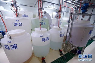 探訪中科三安植物工廠 機械設(shè)備的先進科技之旅